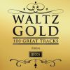 Download track Josef Strauss: Dorfschwalben Aus Österreich, Op. 164