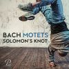 Download track 21. Solomon's Knot - Fürchte Dich Nicht, Ich Bin Bei Dir BWV 228