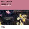 Download track Piano Trio No. 2 In E-Flat Major, Op. 100, D. 929 II. Andante Con Moto