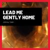 Download track Lead Me Gently Home