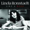 Download track Love Is A Rose