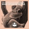 Download track What Could Be Better (Original Mix)