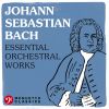 Download track Suite For Orchestra No. 3 In D Major, BWV 1068: II. Air