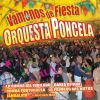 Download track Rumba Portuguesa