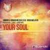 Download track Your Soul (Photographer Remix)