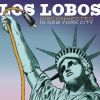 Download track La Venganza De Los Pelados (Live From The City Winery, New York City / 12-23-2012)