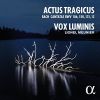 Download track Gottes Zeit Ist Die Allerbeste Zeit, BWV 106 - IV. Chorus 'Glorie, Lob, Ehr, Und Herrlichkeit'