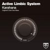 Download track Karahana (Chris Voro Remix)