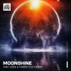 Download track Moonshine (Extended Mix)