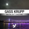 Download track Moonlight Shadows