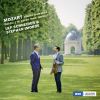 Download track Violin Sonata In B Flat Major, K. 378 III. Rondeau. Allegro
