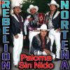 Download track Paloma Sin Nido