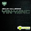 Download track Yin - Yang (Original Mix)