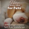 Download track Harp Calming Music For Pets (417hz Solfeggio Frequency) [Soft Rain Soundscape] 5