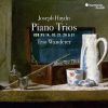 Download track 4. Piano Trio Hob XV 18 In A Major - I. Allegro Moderato