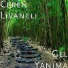 Download track Gel Yanima