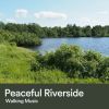 Download track Peaceful Riverside Walking Music, Pt. 9