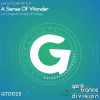 Download track A Sense Of Wonder (Original Mix)