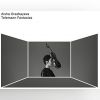 Download track Fantasias For Violin Without Bass, No. 9 In B Major, TWV 40 22