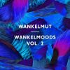 Download track Coeur De La Nuit (Wankelmut Remix)