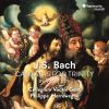 Download track 04 - Ach Gott, Vom Himmel Sieh Darein, BWV 2- IV. Recitativo ''Die Armen Sind Verstört''