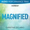 Download track Magnified