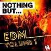 Download track Nothing But... Edm Vol. 1 (Continuous Mix 2)
