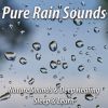 Download track Rain Forest Monsoon Heavy Rain With Birds For Sleeping