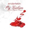 Download track Bir Görsem Seni'