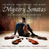 Download track Mystery (Rosary) Sonata: No. 1 In D Minor 