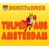 Download track Tulpen Aus Amsterdam