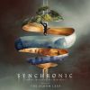 Download track Synchronic Is The Needle