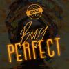 Download track Perfect (Instrumental)