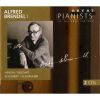 Download track Alfred Brendel I - Haydn - Piano Sonata In G, Hob. XVI - 40 2. Presto