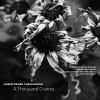 Download track A Thousand Cranes: III. Sadako