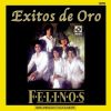 Download track El Funeral Del Labrador
