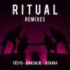 Download track Ritual (David Puentez Remix)