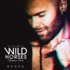 Download track Wild Horses (International Version Radio Edit)