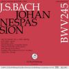 Download track Johannespassion, BWV 245: No. 4, Rezitativ (Evangelist, Jesus) - Auf Daß Das Wort Erfuellet Wuerde