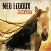 Download track He Rides The Wild Horses