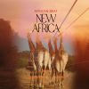 Download track African Drums