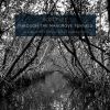Download track Through The Mangrove Tunnels: VII. The Ballad Of Willie Cole