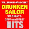 Download track Hey, Kleines Luder (Handclubbers Hit-Remix)