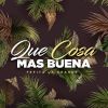 Download track Que Cosa Mas Buena