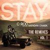 Download track Stay (Dirty Disco Mainroom Remix)
