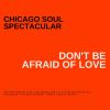 Download track Don't Be Afraid Of Love