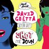 Download track Shot Me Down (Radio Edit)