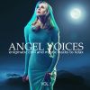 Download track An Angel Voice (Soundpleasures Mix)