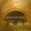 Download track Liquid Sun