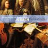 Download track Brandenburg Concerto No. 5 In D BWV1050: III. Allegro